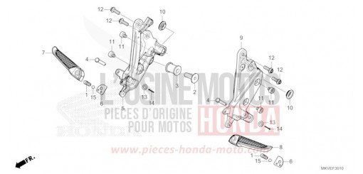 PILLION STEP NSS750S de 2025